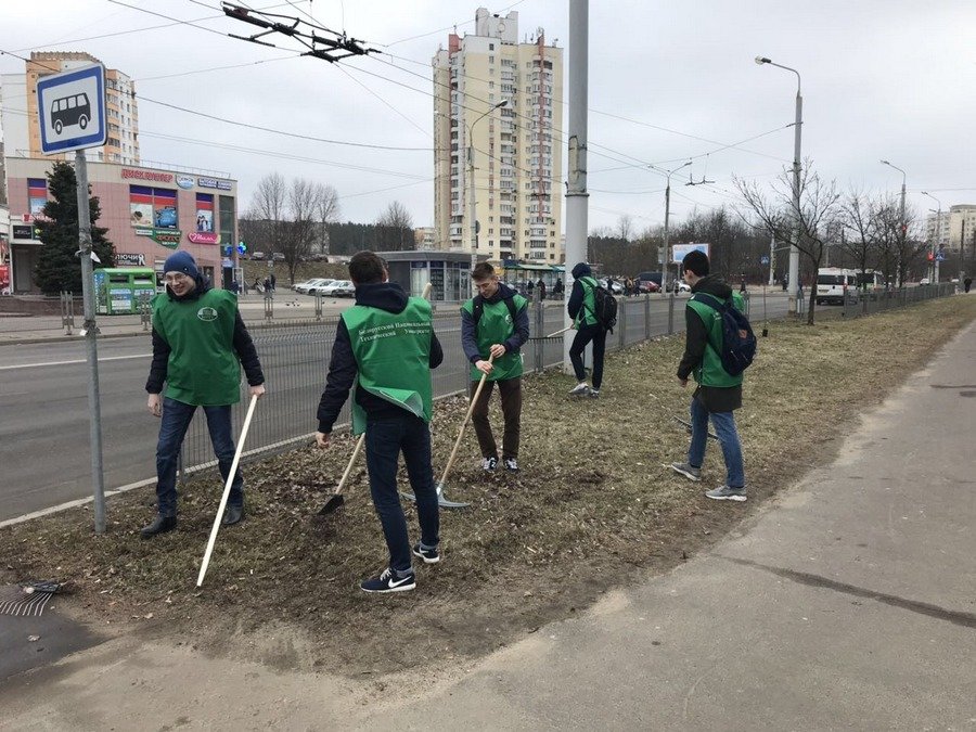 В Советском районе посадили более 100 деревьев