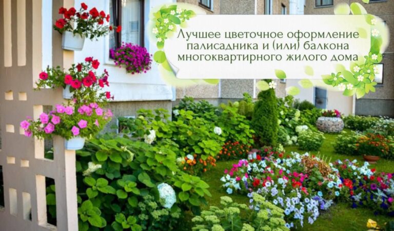 Внимание! Конкурс!