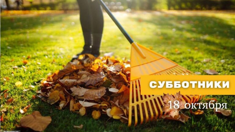 18 октября субботники пройдут во всех районах города!
