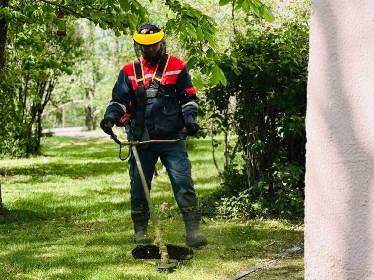 В столице проходит плановый покос травы на дворовых территориях