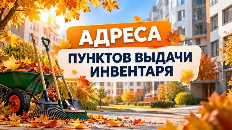 С заботой о дворе: организована работа пунктов выдачи инвентаря